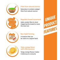 Naturolax-A Isabgol Husk Powder Orange Flavour, 300 g For Constipation
