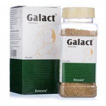 Galact Granules Elaichi 200 gm