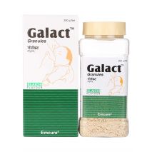 Galact Granules Elaichi 200 gm