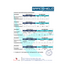 Safeshield 3 Layer Face Mask
